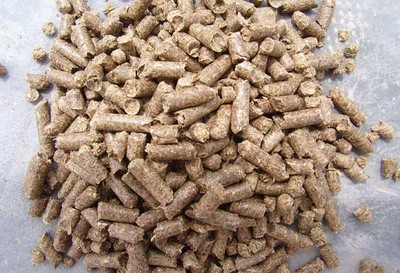 不宜生喂的常见饲料原料及其安全饲喂方法