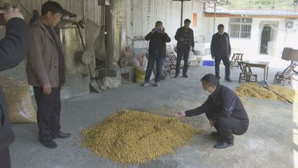 佳旺鹿业 精准“饲料”供给，为郧西金龙山村发展注入绿色新动能